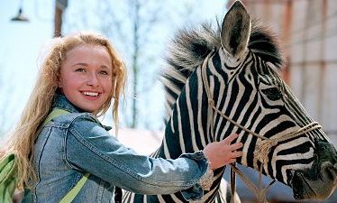 Rayas: Una cebra veloz (2005)