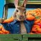 Peter Rabbit: Conejo en fuga (2021)